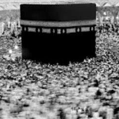 _IslamReminders's profile picture. I post daily Islamic Reminders