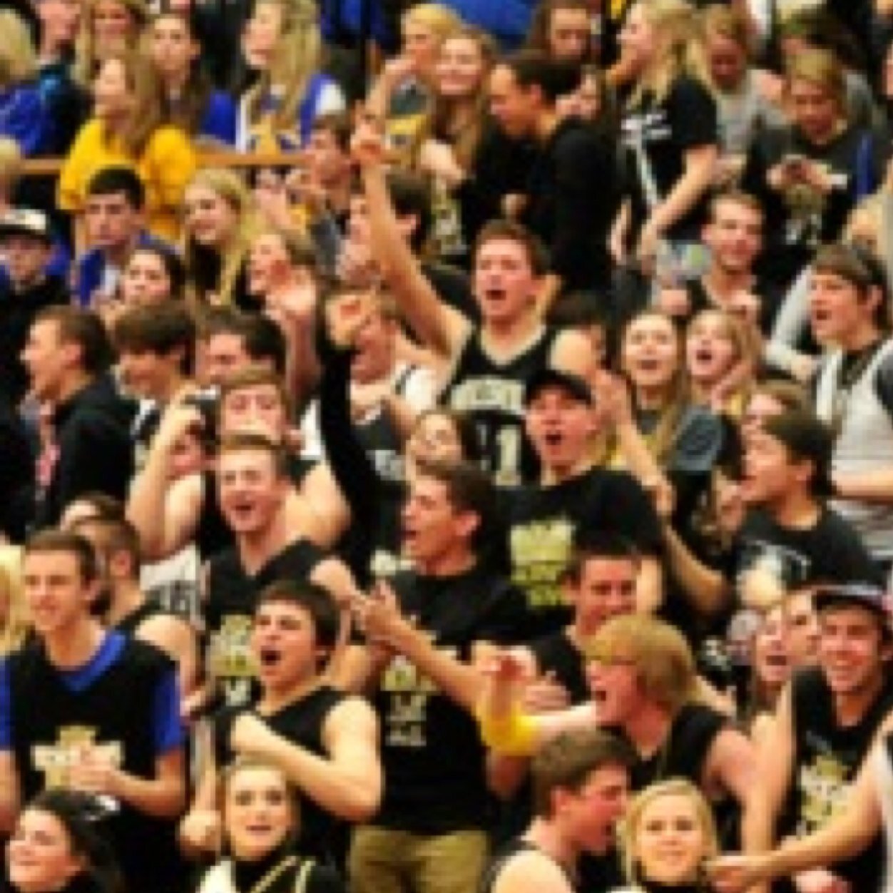 nhsStudentSec's profile picture. 2013-2014 Noblesville Student Section.