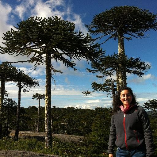 Ingeniero Ambiental, Universidad de Concepción