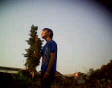 dhenoysetiawan's profile picture. 