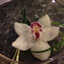 Joy Yarbrough - @joywhy2 - Twitter