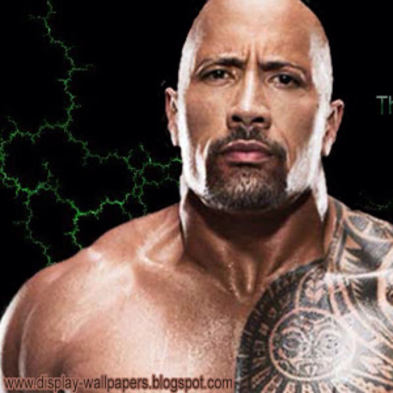 kaleighmitchel6's profile picture. 