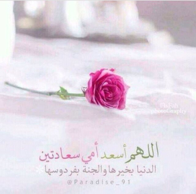 Shosho❤️!
