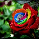 Christy - @Christy_Alan - Twitter