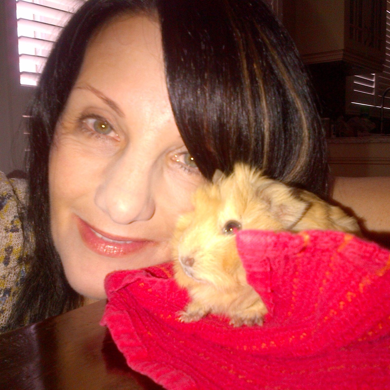 susieqwalton's profile picture. 