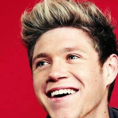 @NiallOfficial  please follow me