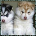 edy vasquez - @edy_vasquez_128 - Twitter