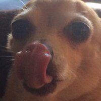 John Schaefer (@johnschaefer) 's Twitter Profile