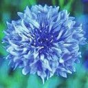 Kate Sutherland - @37kitkat - Twitter