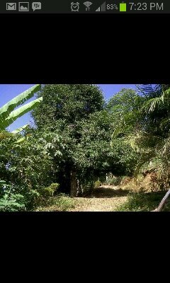 LAQUINTERIA's profile picture. Amo a mis hijas y por ellas soy capaz de cualquier cosa...