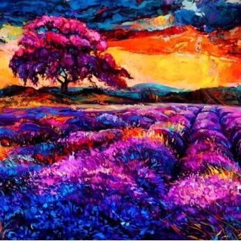 MS0892's profile picture. 