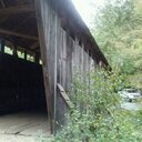 Tamara Queen - @queensdomion - Twitter