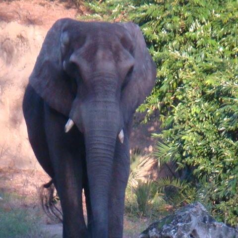 omave76's profile picture. 