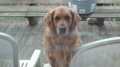 JoeUscfan's profile picture. 