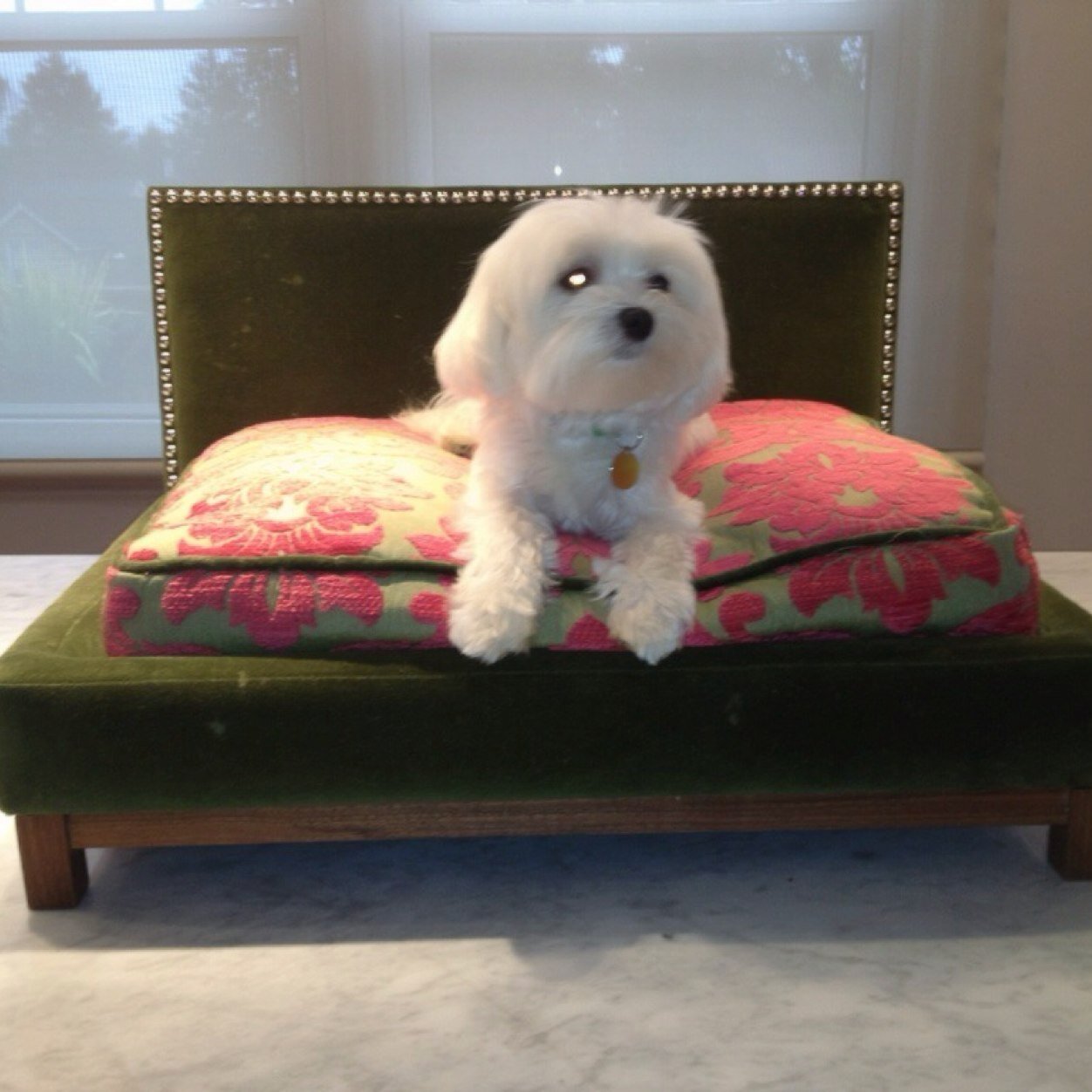 yariv_yariv's profile picture. 