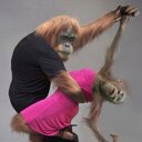 Darryl Nicholas - @dt_nicholas - Twitter