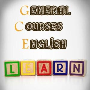 English Course Level present to you our new Service Which present to you a high quality English Course which you can learn to speak, listen and write English,