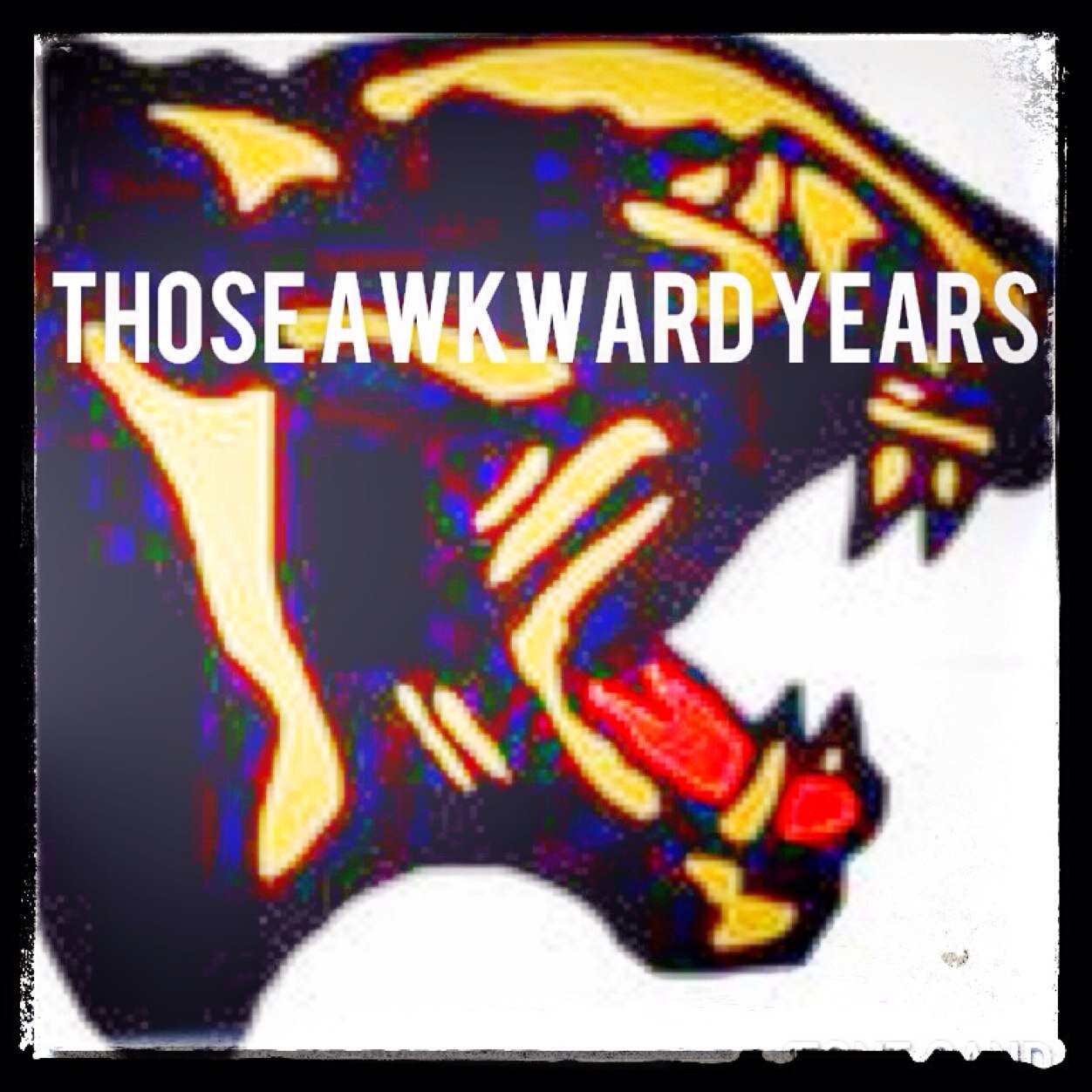 Rememer those awkward years in elementary school and middle school? Well they're comin back! Only for 2014 AHS Seniors