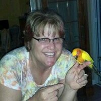 Constance Olson - @jonzie1958 Twitter Profile Photo