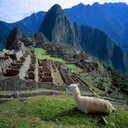 Roy Arroyo - @Rodry7605 - Twitter