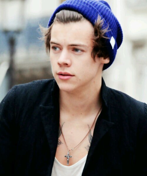 follow @HarrysHoeHoeHoe and ask for a follow back, ly xx