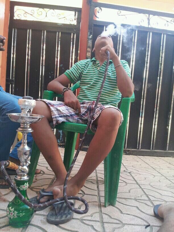 ™DandoO |a ¶ParA™•---------}