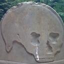 Luke Sky Walker - @Luke_Sky_Walker - Twitter