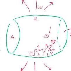 Kotoba_shio's profile picture. 飛ぶとエリンギになる男。

好きなもの
きゃりーぱみゅぱみゅ　相対性理論　Steely Dan　VC3000のど飴