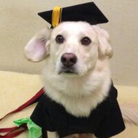 Brody, Graduate(@BrodyGraduate) 's Twitter Profile Photo