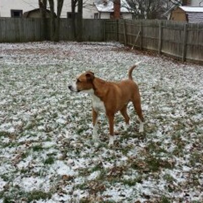 Profile Picture of Derek Noll (@ScriptOYO) on Twitter