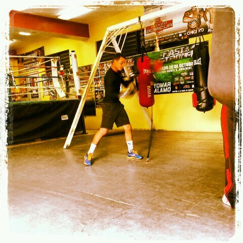 soy boxeador y amo ese deporte es mi vida