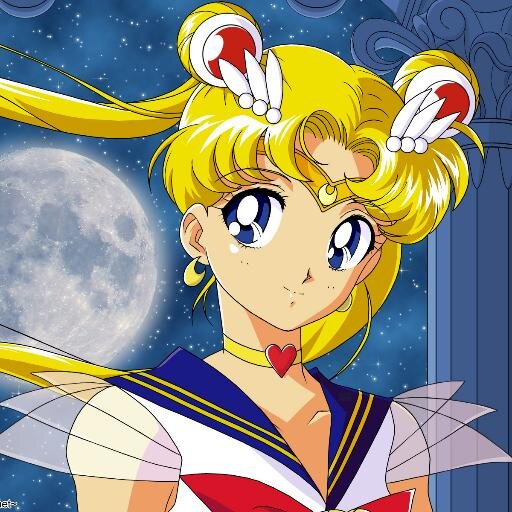 If you're a sailor moon fan and a pervert then follow me for hentai pictures