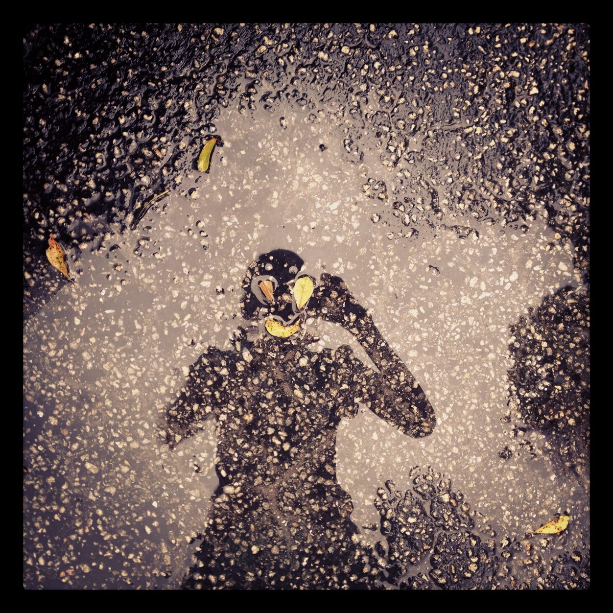 Luceblu7's profile picture. Correspondent