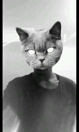 JjwizzyJ's profile picture. 