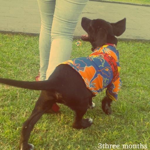 SteephFlo's profile picture. Hola amigo (a) si te gusta el ELECTRO & REGUEE♥ como amí sigueme !