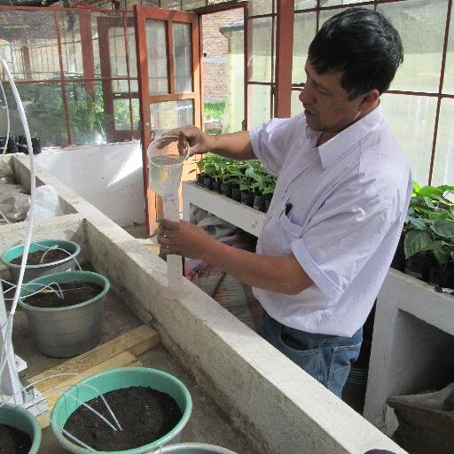Ambientalista Ingeniero Agronomo, Esp. ECOLOGÍA Y Gestion Ambiental Universidad de Nariño, Investigador especies Nativas y Ornamentales.