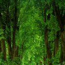 pilar ayala-suniga - @PilAyala - Twitter