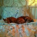 Dana Gallagher - @dgallagher515 - Twitter