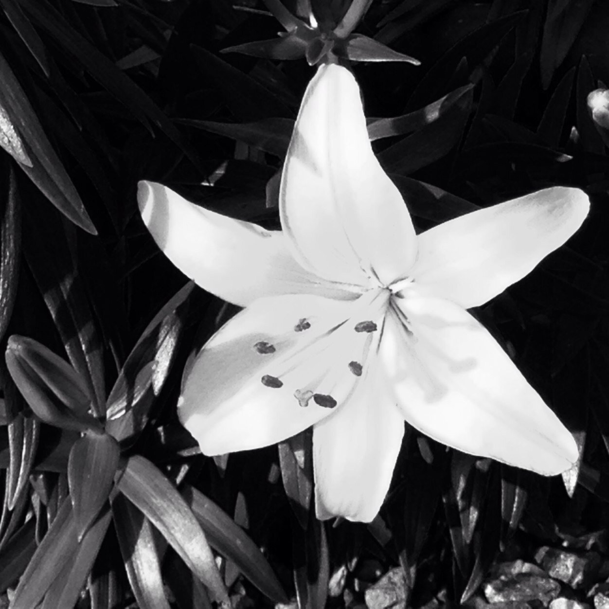 CKSWoodward's profile picture. 