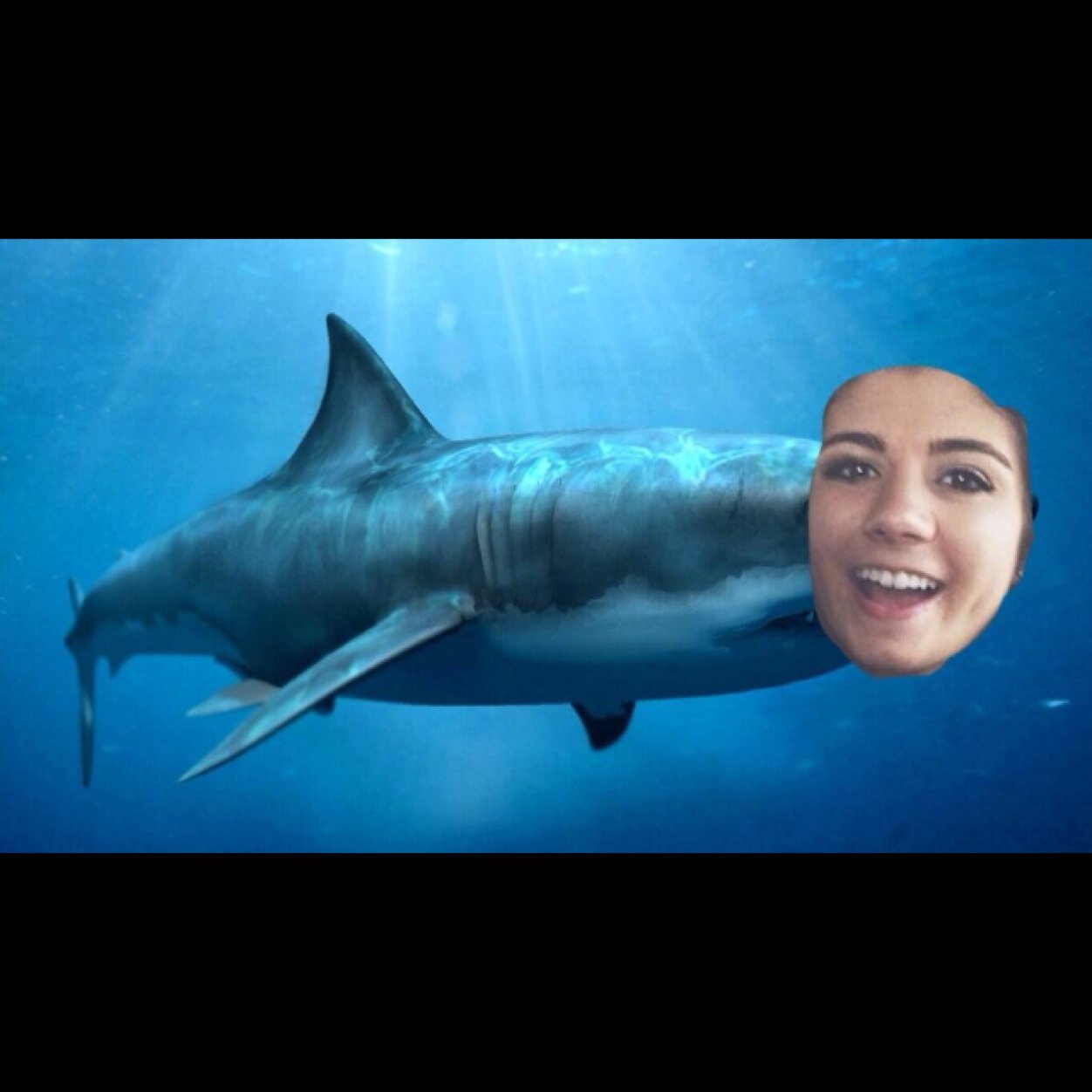 siennaisashark's profile picture. those who dare to fail greatly, dare to achieve greatly.