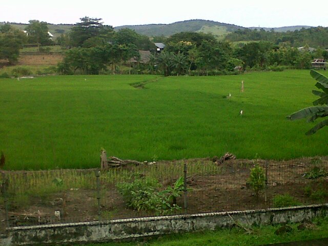 02F_ILHA's profile picture. 