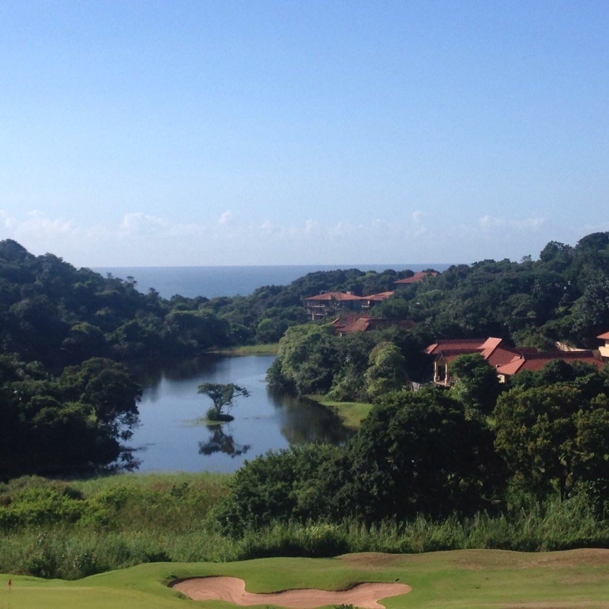 KashMakan's profile picture. 