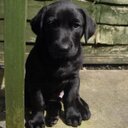 jenna mae sheldon - @PurplePuppies12 - Twitter