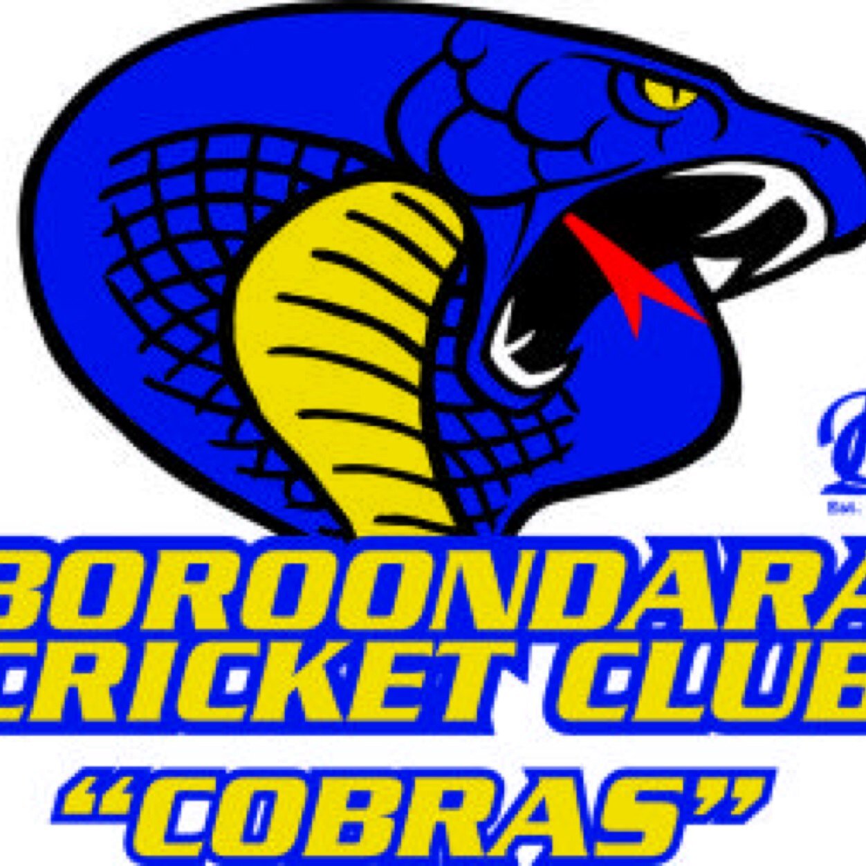 Boroondara CC boasts one of the largest junior programs in the Eastern Cricket Association, 20 sides incl. Junior Blasters, Under 10, 12, 14, 16, & Girls Teams