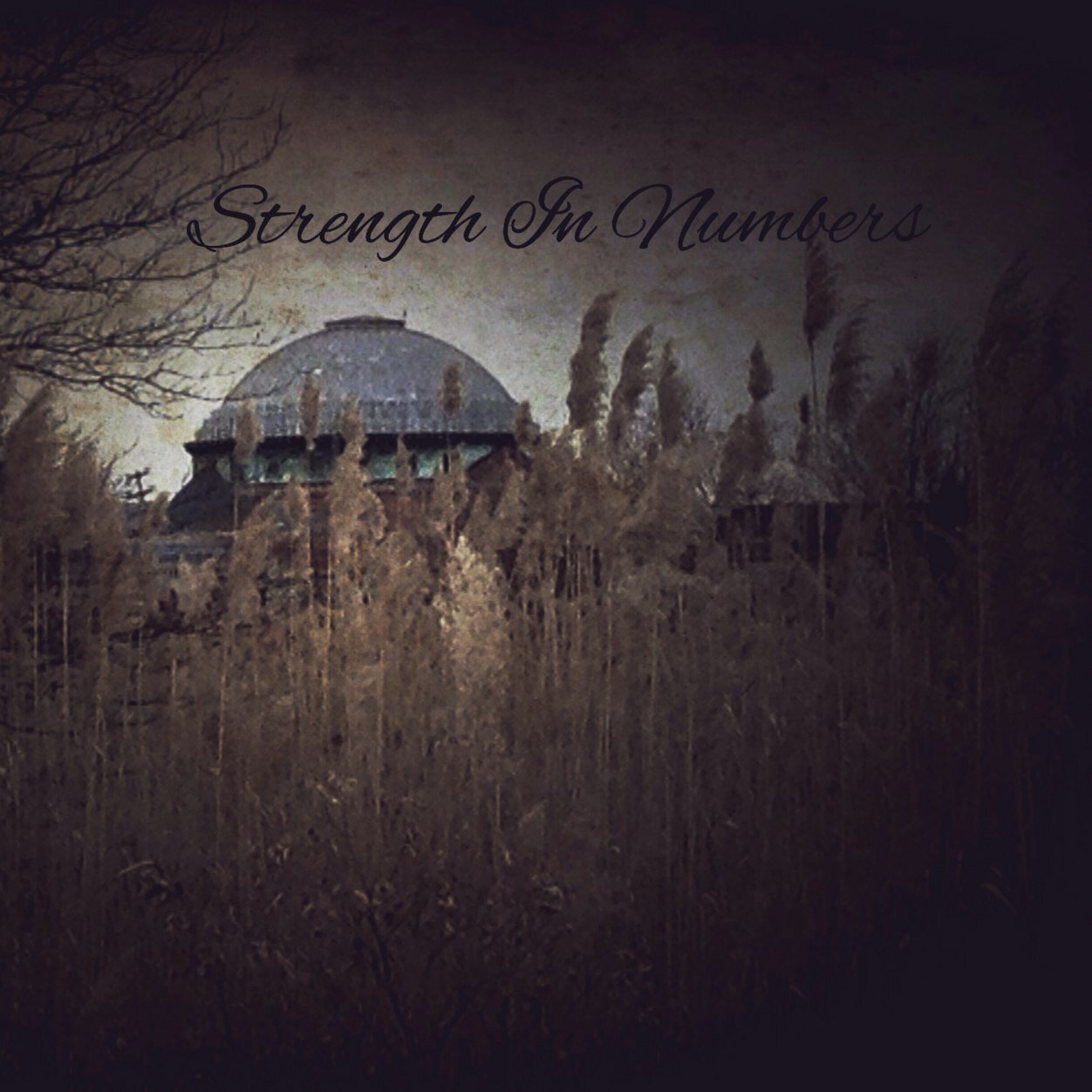 OfficialSINBand's profile picture. Metal-Core Band