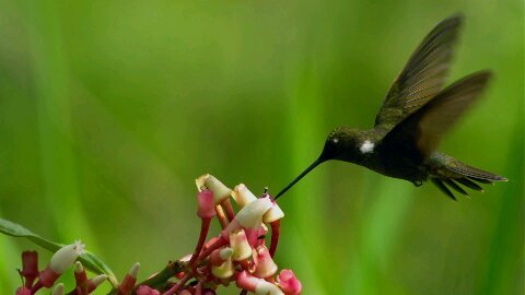 dodream1111's profile picture. I love BTS