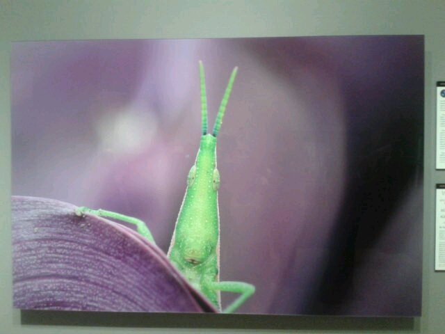 TamekaDiva's profile picture. 