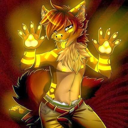 H-hello m-my names Kennedy im s-shy around others i'm a  Flof l-looking for a master or mistress yes im a Femboy #Sister @Furry_Dunkun