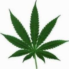stay trippy my friends