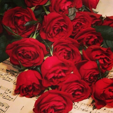 ‏‏‏#تبادل_رتويت 5\5 او 10/10 من مفضلتي حتى لو مو لي 

وأرسل #تم بالمنشن أو الخاص

#تابعني_اتابعك